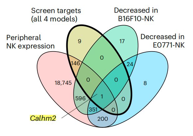 Nature子刊：陳斯迪葉露鵬團隊利用體內(nèi)AAV-睡美人CRISPR篩選技術(shù)發(fā)現(xiàn)NK細(xì)胞癌癥免疫治療新靶點(圖3)