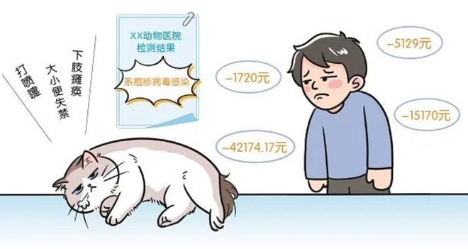 3萬買貓后續(xù)治療費(fèi)6萬法院判了！(圖3)