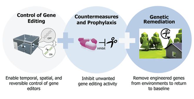 CRISPR技術(shù)及其應(yīng)用 CB Insights深度解析(圖9)
