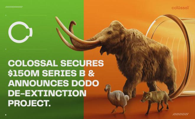 世界首次！喬治·丘奇團(tuán)隊(duì)“復(fù)活”已滅絕一萬多年的“冰原狼”計(jì)劃2028年復(fù)活猛犸象(圖6)