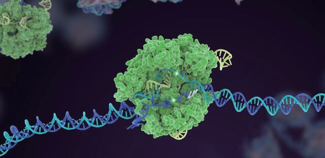 押寶CRISPR和人工智能！張澤民院士團(tuán)隊(duì)的研究方向開(kāi)始更新了！(圖2)