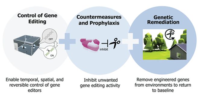CRISPR技術(shù)及其應用CBInsights深度解析(圖9)